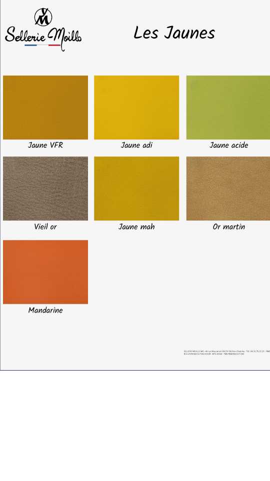 selle-de-moto-choix-couleurs-4